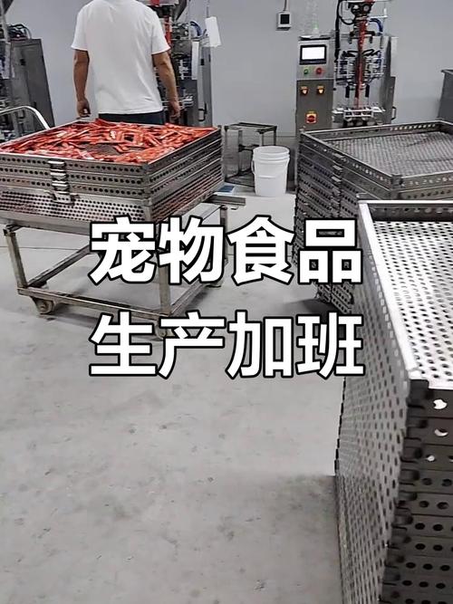 深夜的守护 宠物食品代工车间里的加班之光